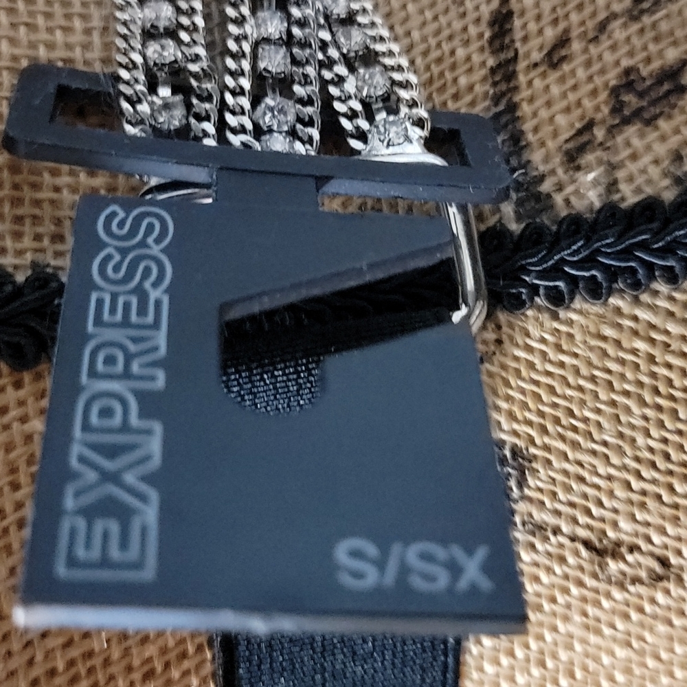 EXPRESS  Rhinestone Belt - Picture 4 of 4